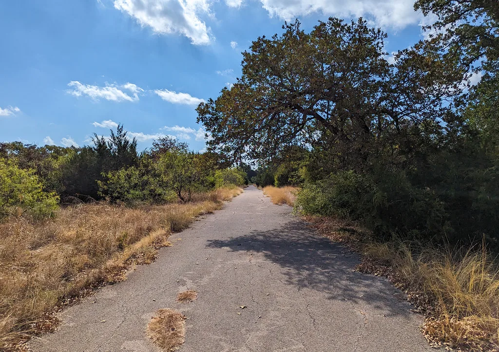 Cracked old road with grass growing along its edges.