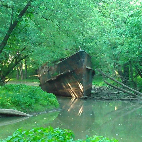 Rusty hull of an abandoned boat in a small stream surrounded by trees.