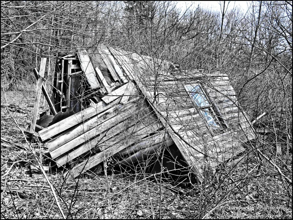 Cabane de bois effondrée dans des broussailles sans feuilles.