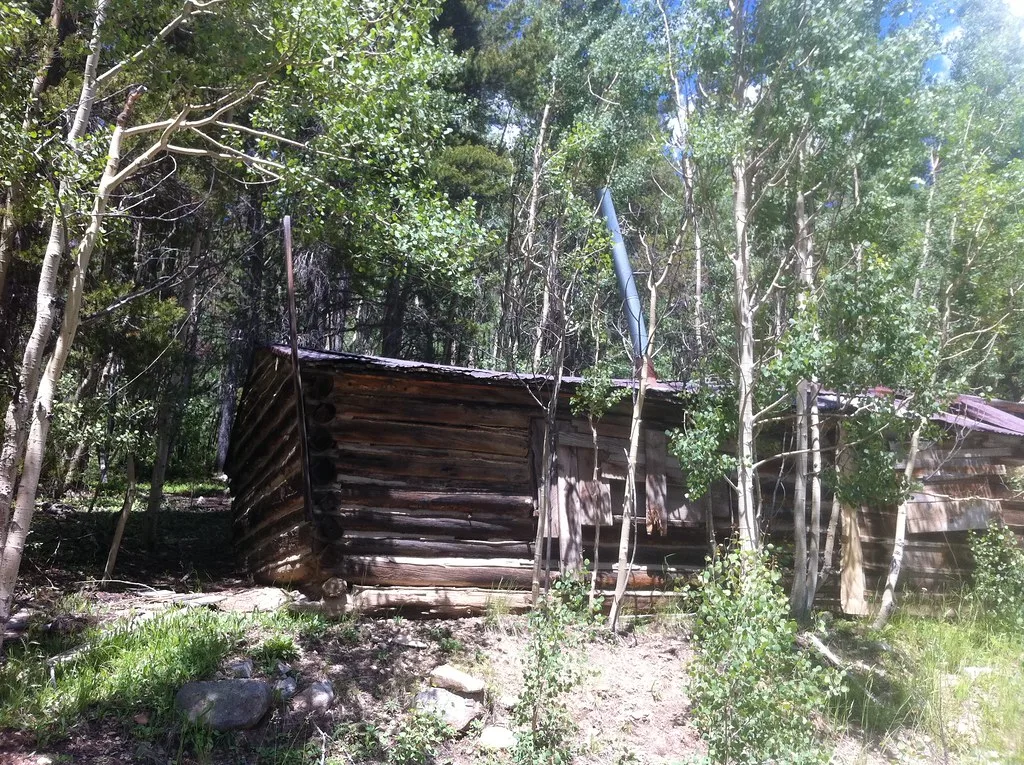 Abandoned log cabin beneath a metal roof with plank-covered openings among young trees.