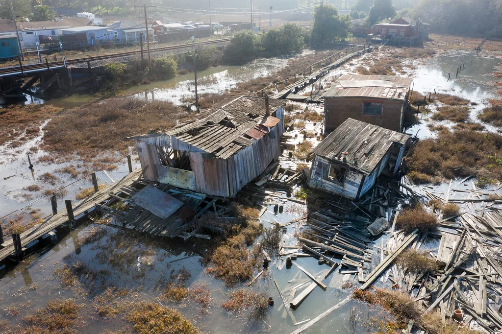 Abandoned wooden shacks with holes in their roofs among collapsed walkways in a marsh.