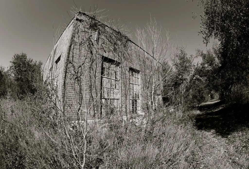 Old brick building overgrown with vegetation, in black and white.