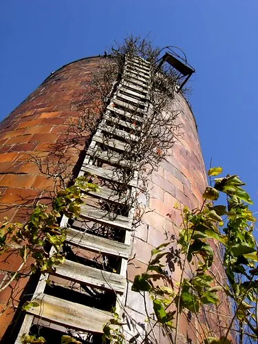 Deteriorated wooden ladder climbing a cylindrical brick silo overgrown with vines.