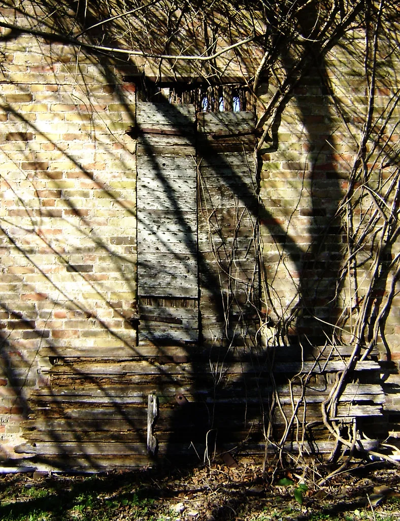 Brick wall of an abandoned building with a window barred by rotten planks and decayed timber at its base beneath branches.