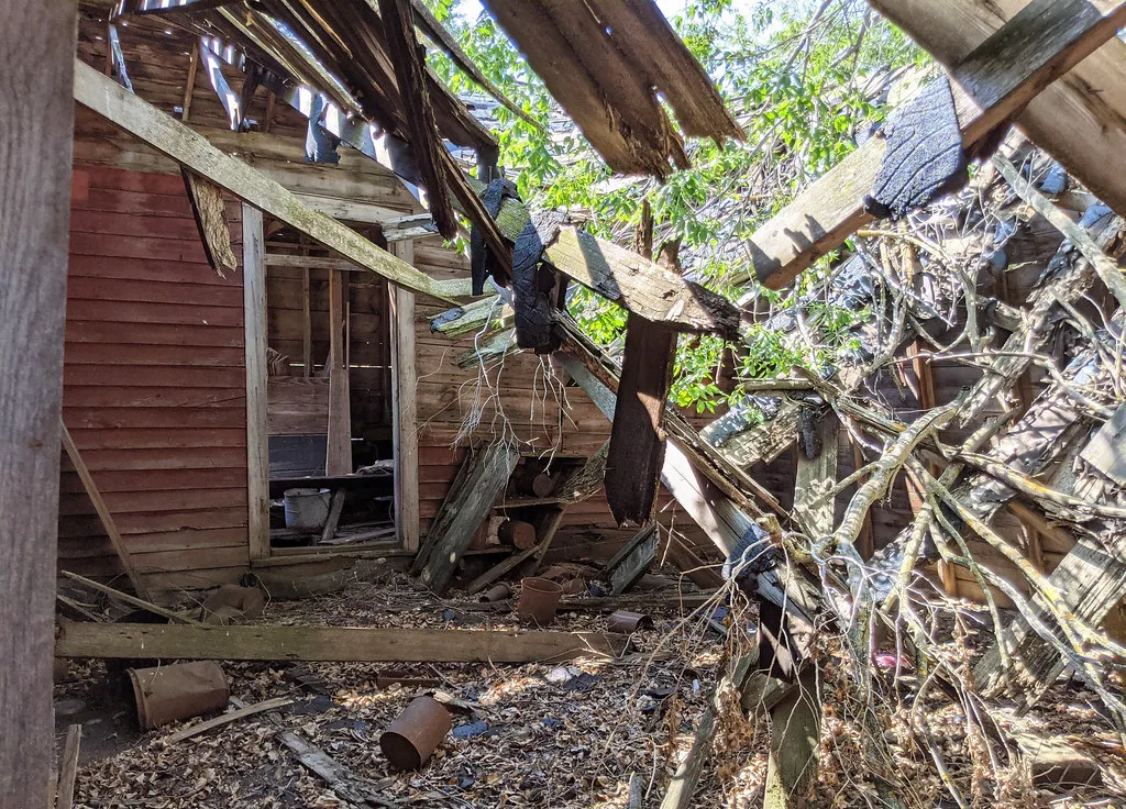 Collapsed beams and branches inside an old wooden house.