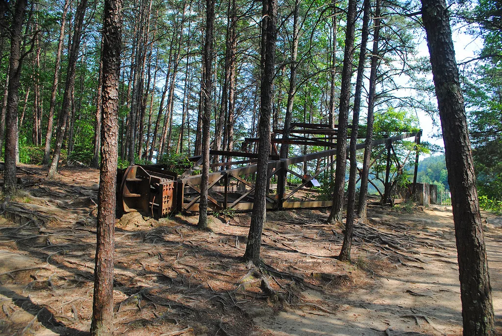 Vestige de charpente métallique rouillée dans une forêt de pins.