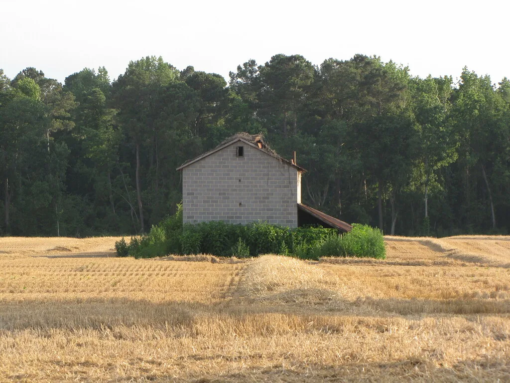 Small concrete-block building with a partly collapsed roof in a harvested field.