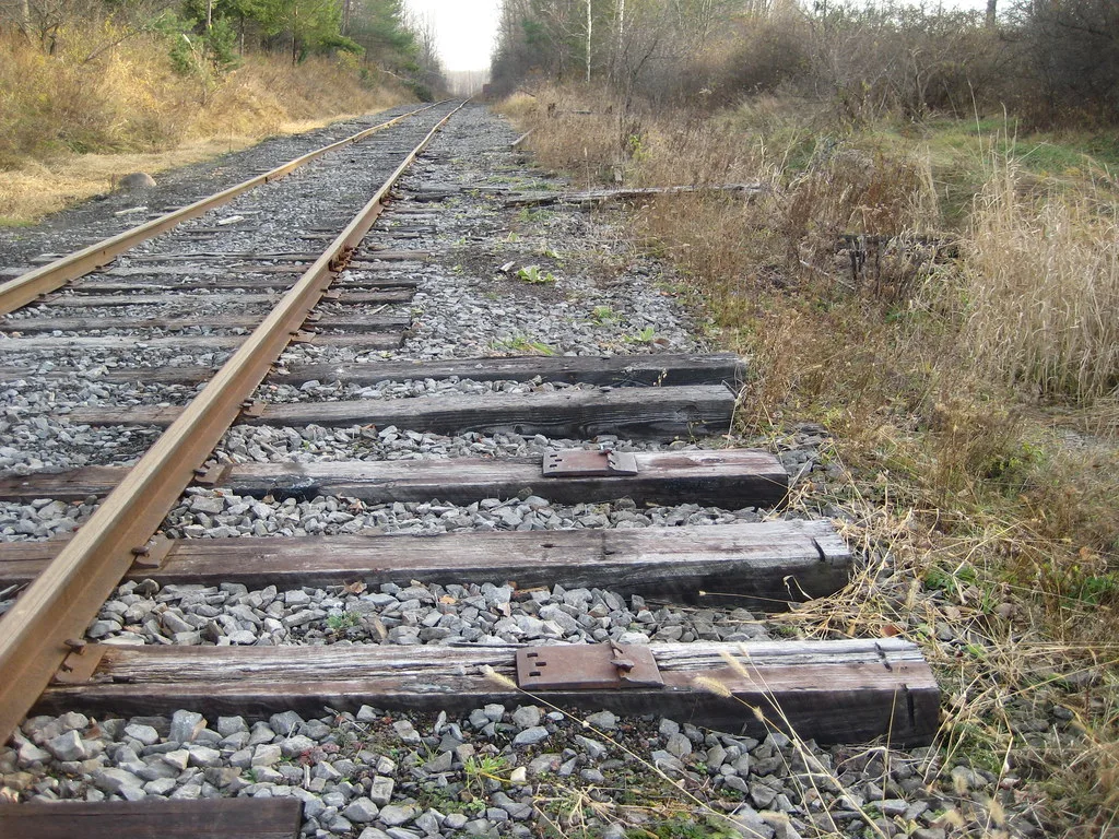 Sleepers of a dismantled track beside two rusty rails in a wooded corridor.
