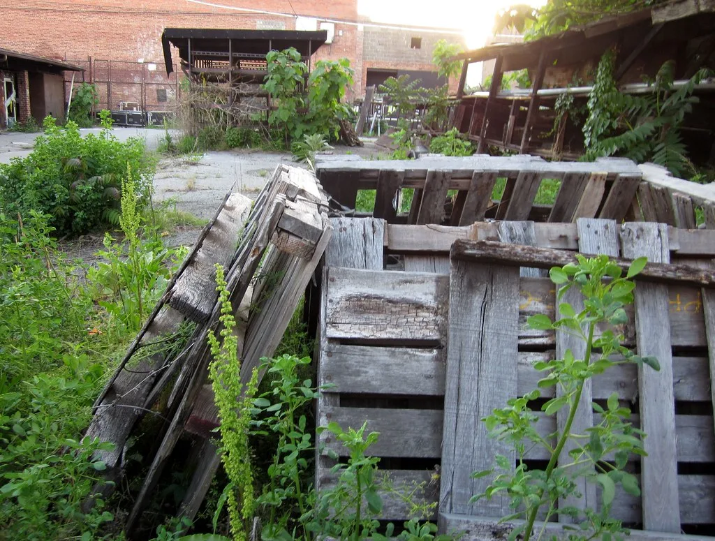 Palettes usées et végétation dans une ancienne cour industrielle.