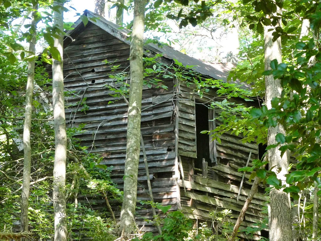 Old wooden cabin with gaping walls among trees.
