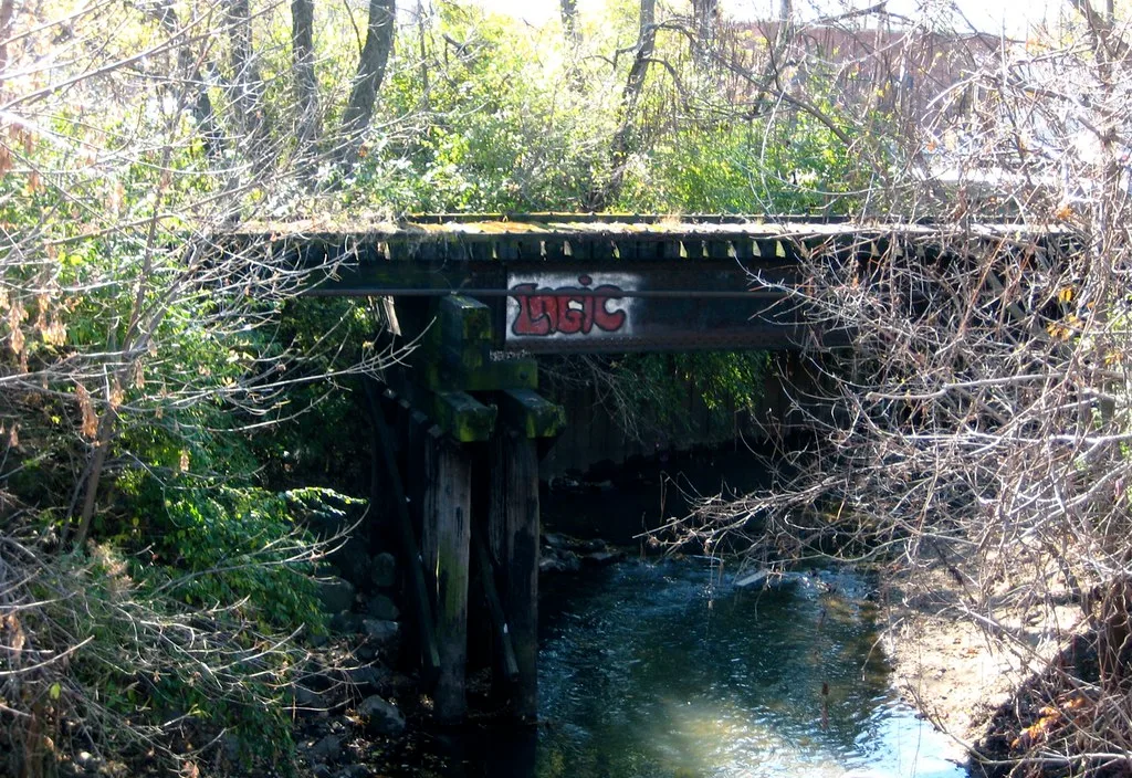Small abandoned railway bridge with mossy sleepers and a graffiti-covered girder above a stream, overgrown with branches.