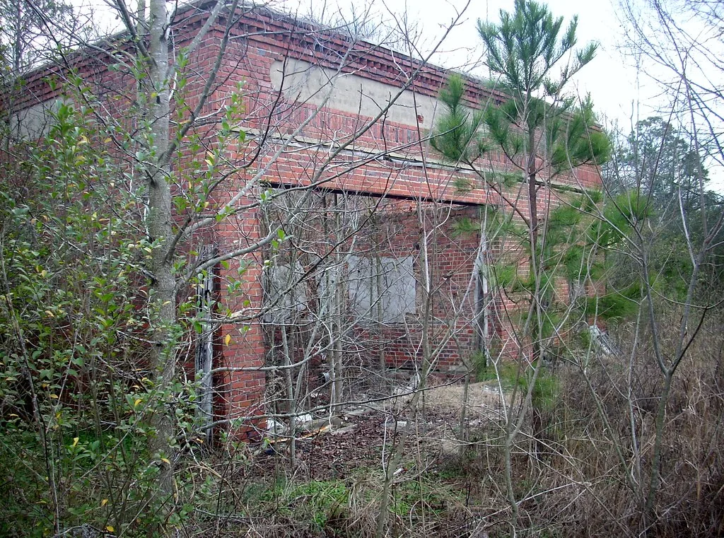 Old brick facade overgrown with shrubs and young trees.