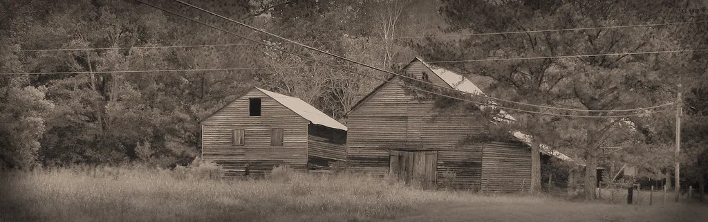 Two rural wooden buildings with closed openings in tall grass, in sepia.