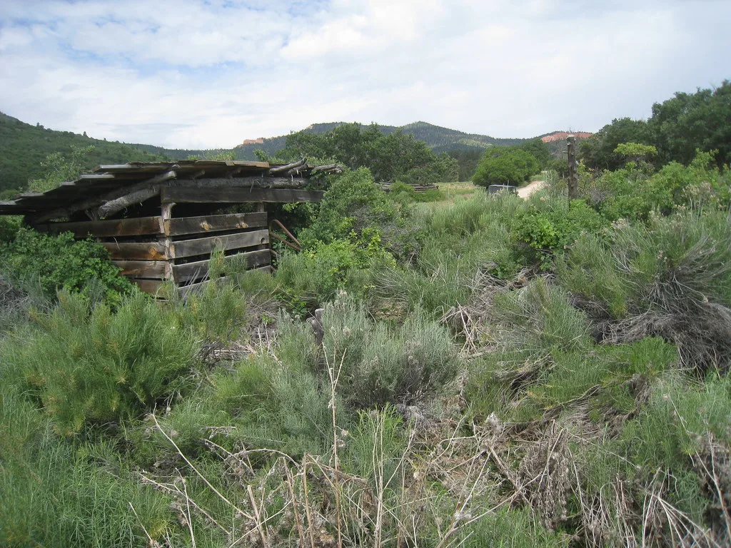 Abandoned rough wooden shelter with separated wall boards and a collapsed roof among tall grass in a green valley.