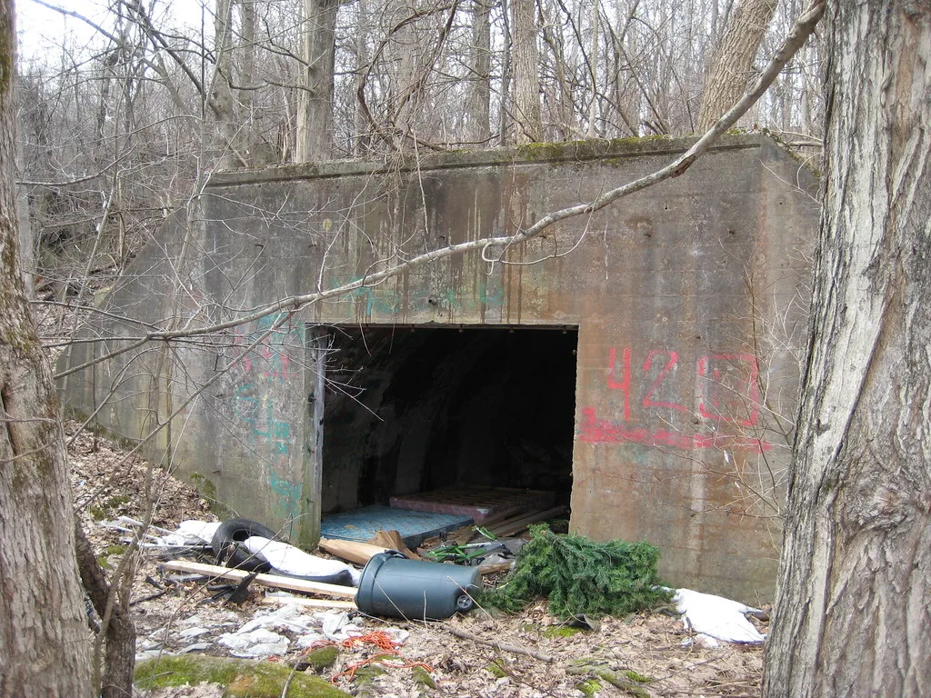 Old concrete shelter in woodland, with litter in front of its entrance.