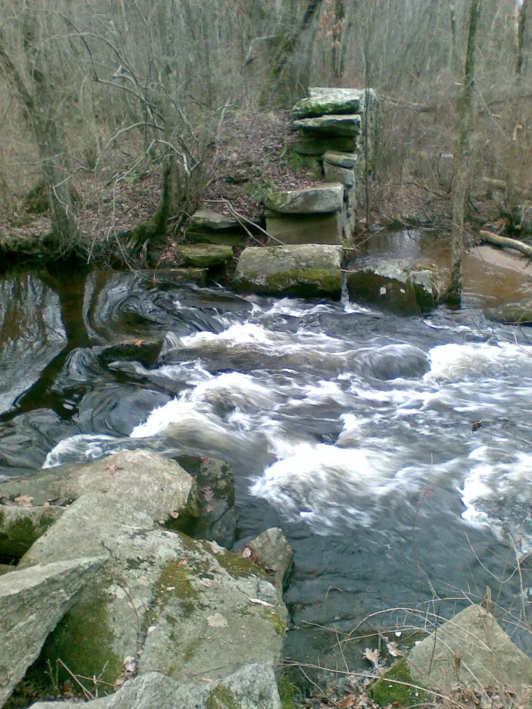 Stone masonry remains beside a wooded stream.