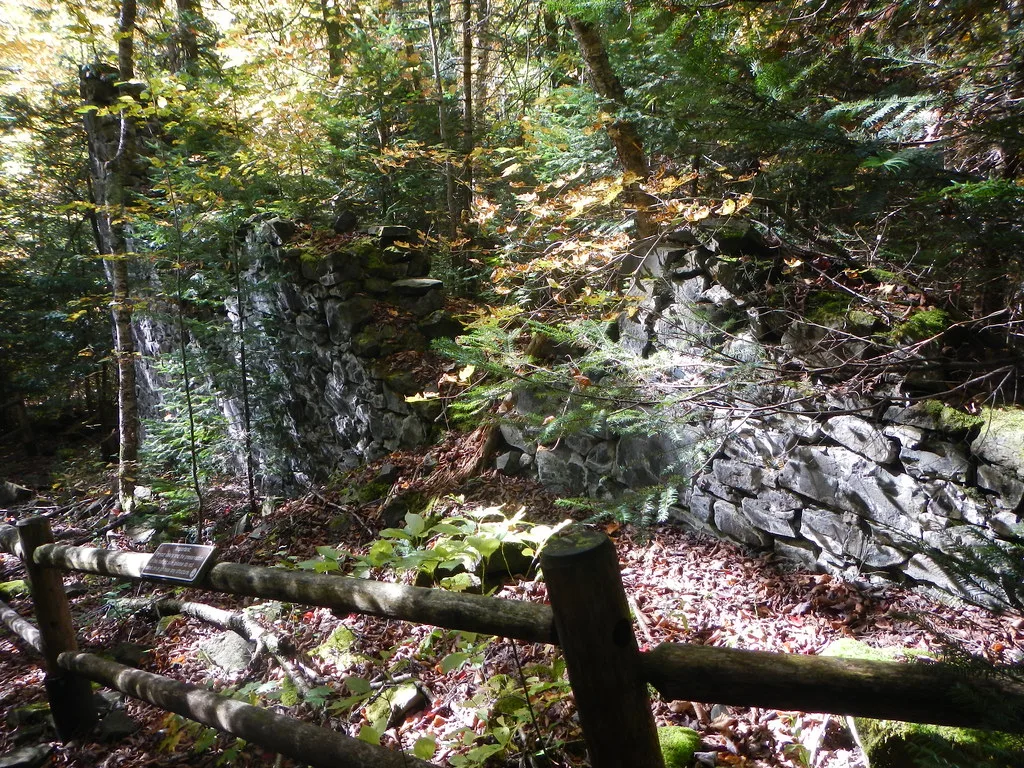 Stone wall ruins covered with moss and shrubs in a forest behind a wooden barrier.