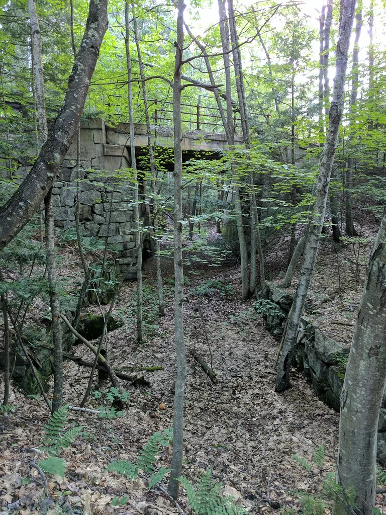 Old stone and concrete structure among trees.
