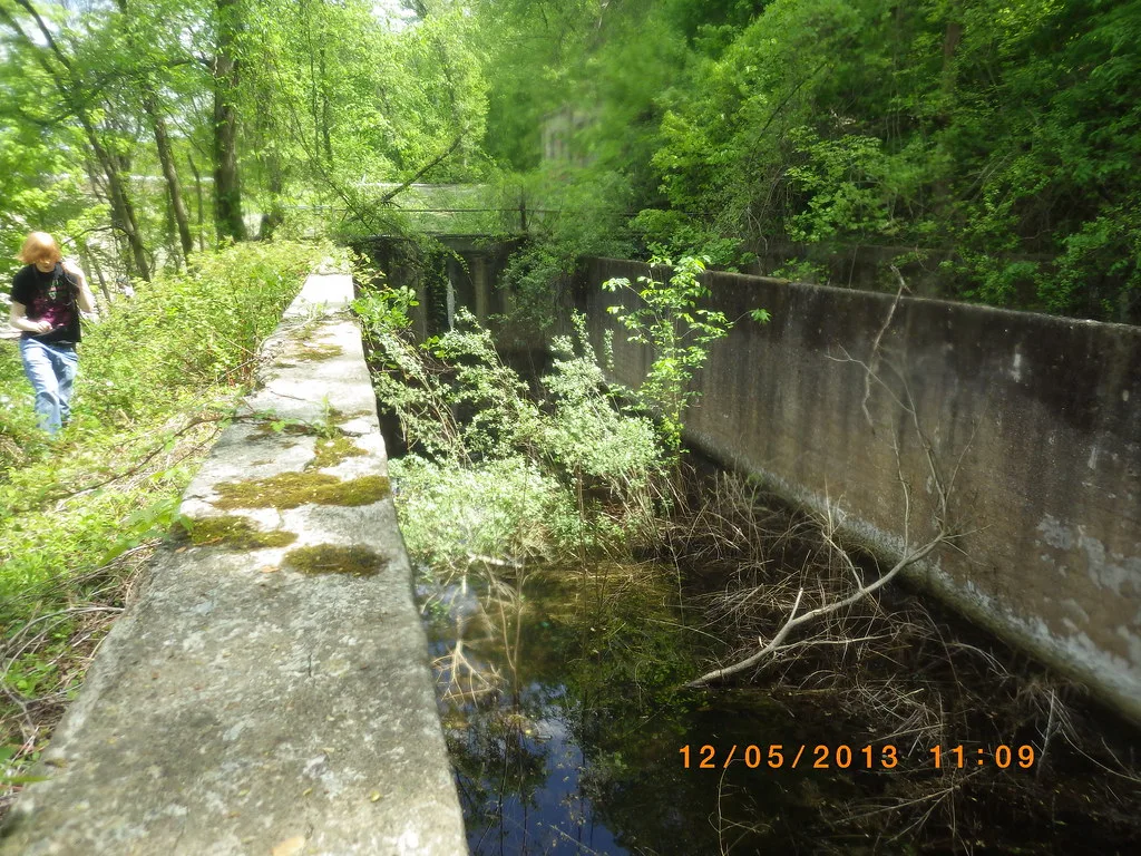 Old concrete channel overgrown with vegetation in woodland.