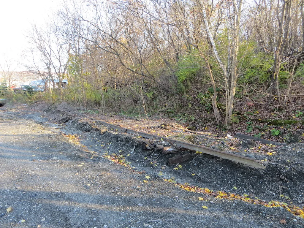 Remains of a rusty railway track beside wooded ground.