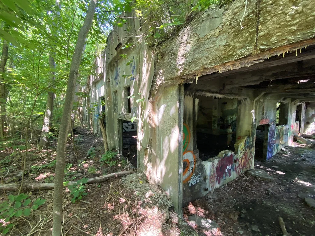 Ruined building covered in graffiti among trees.