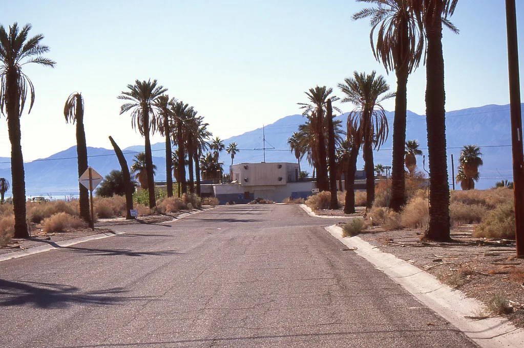 Palm-lined drive with brush in front of a closed old building.