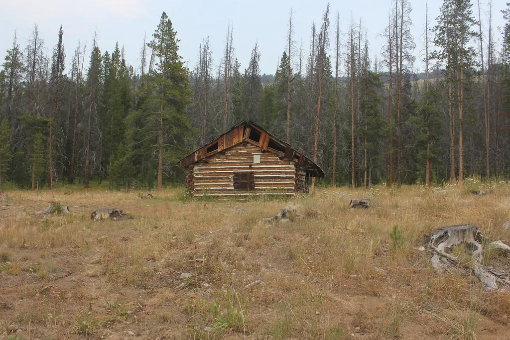 Abandoned log cabin with gaps in its gable and a deteriorated roof in a clearing of conifers and stumps.