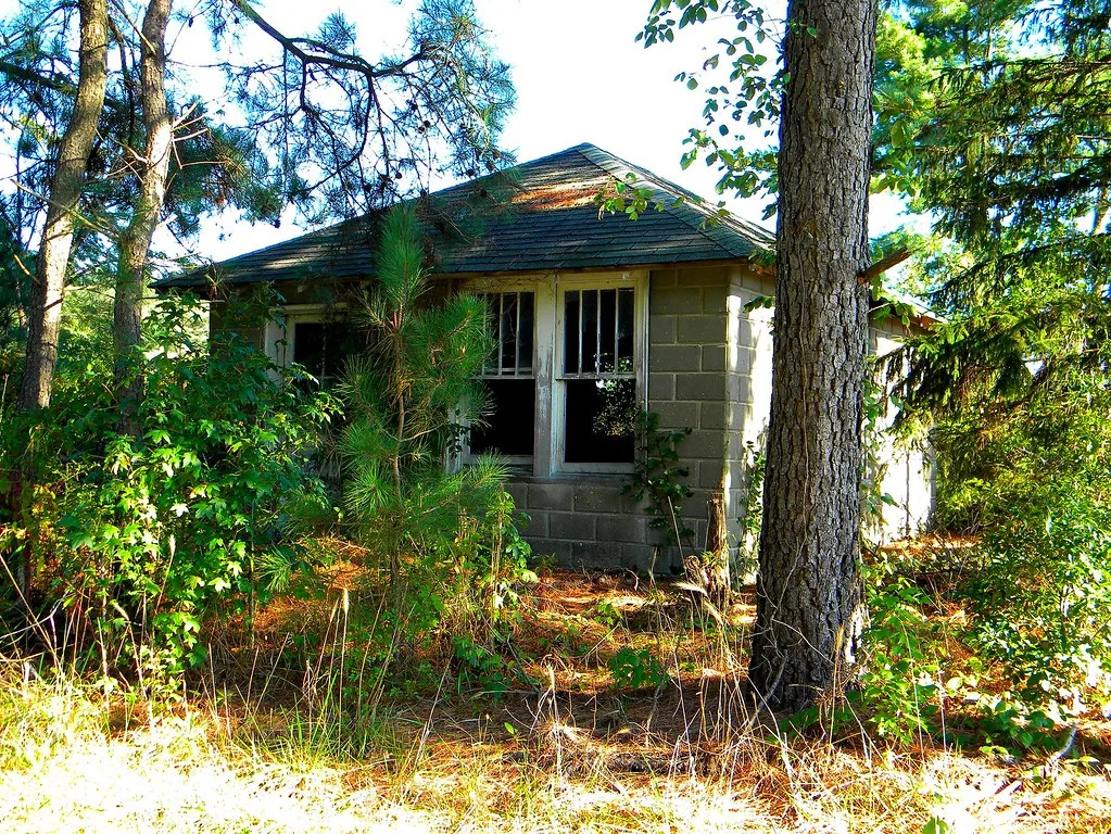 Small abandoned concrete-block house with glassless windows among pine trees and bushes.