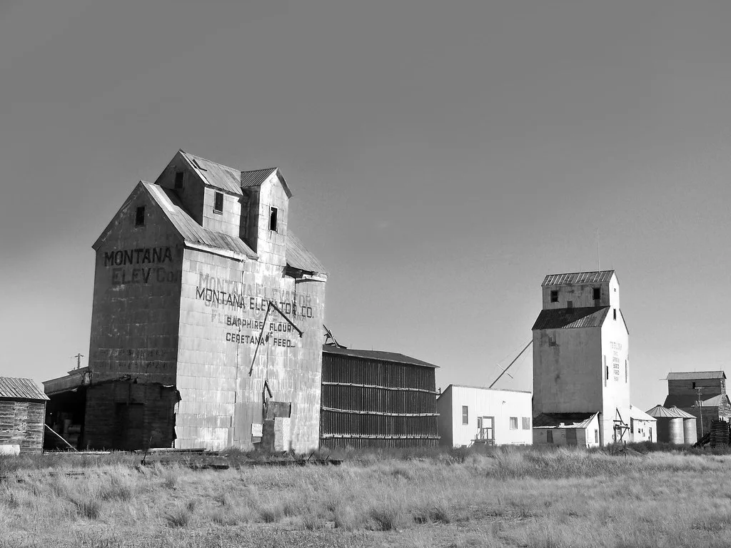 Old grain elevators among tall grass, in black and white.