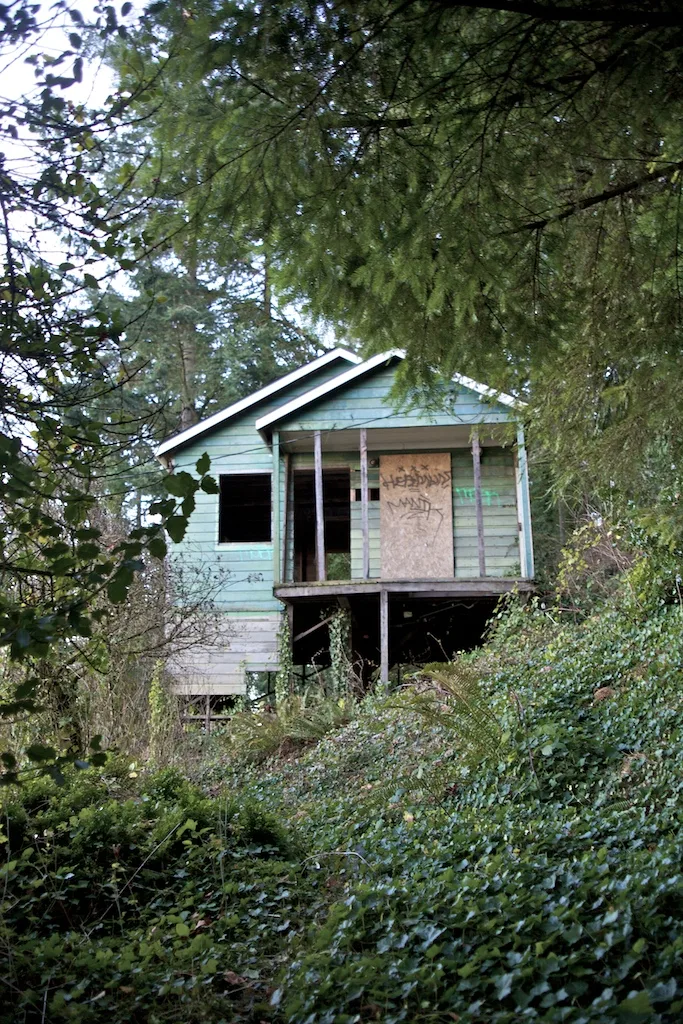 Small deteriorated green house amid dense vegetation.