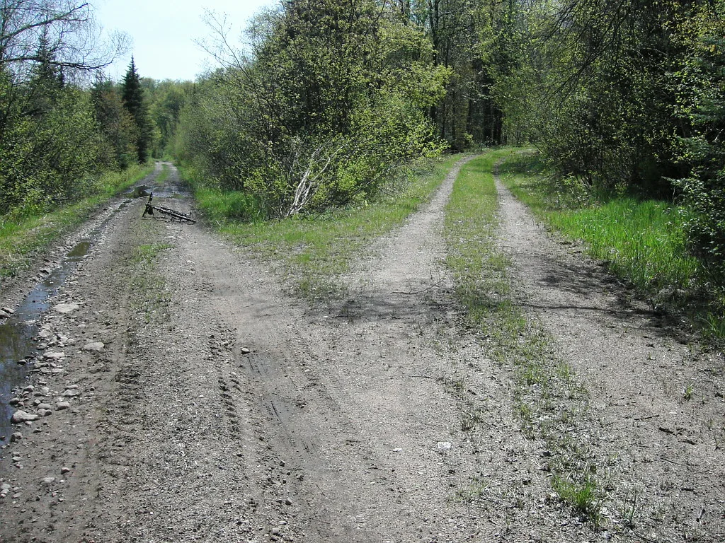 Ancienne plateforme ferroviaire de Hanna Ore Company entre les arbres
