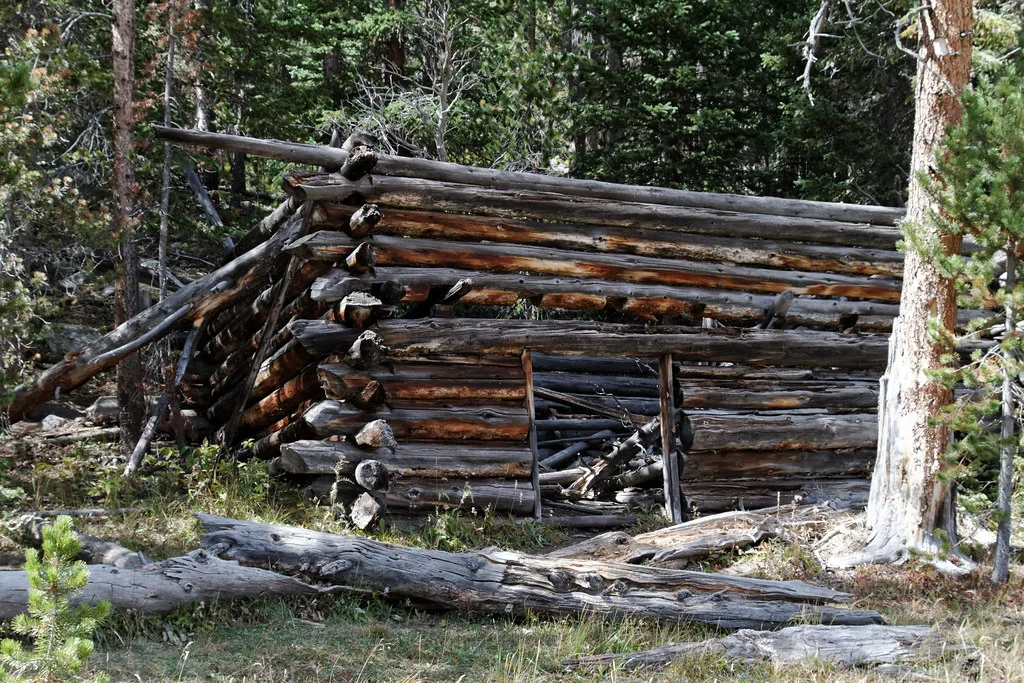 Roofless log cabin ruin with collapsed timber behind its doorway in the forest.