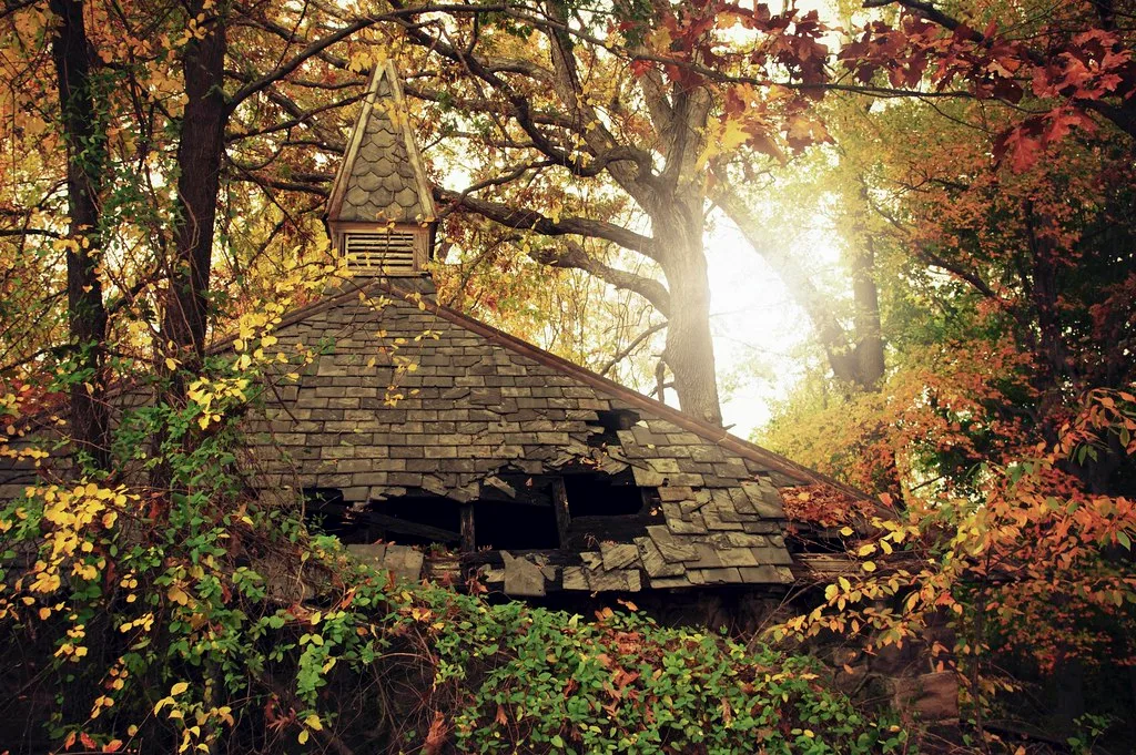 Broken roof with a small turret among autumn foliage.