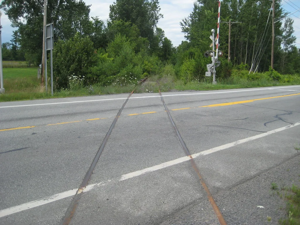 Voie ferrée envahie de végétation au-delà d’une route.