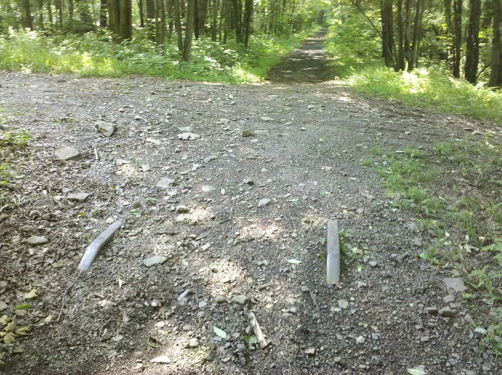 Cut rail remains on a woodland path.
