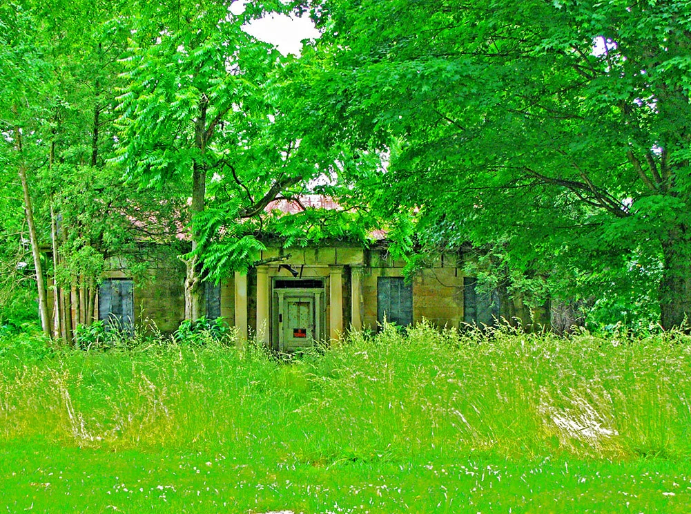 Petit bâtiment abandonné à façade de pierre, porte verte et fenêtres murées au milieu de hautes herbes sous les arbres.