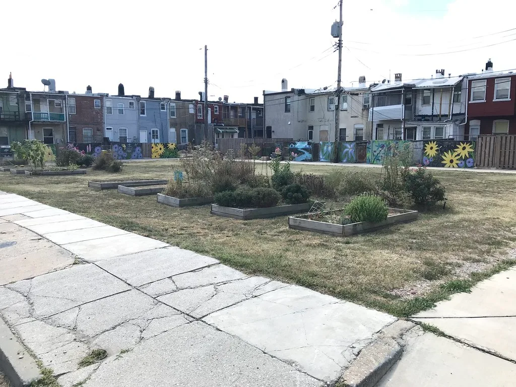 Jardin collectif de North Port Street à Baltimore devant les façades arrière de maisons mitoyennes.