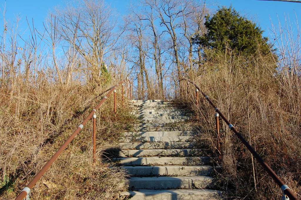 Old staircase with rusty handrails amid dense vegetation.