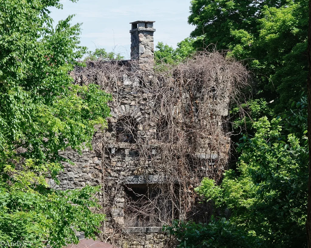 Stone ruin with a chimney, covered in vines and surrounded by trees.