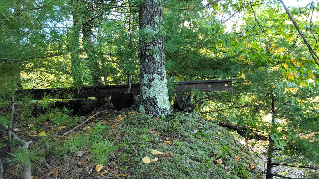 Vestiges de rails rouillés et traverses dans une forêt.
