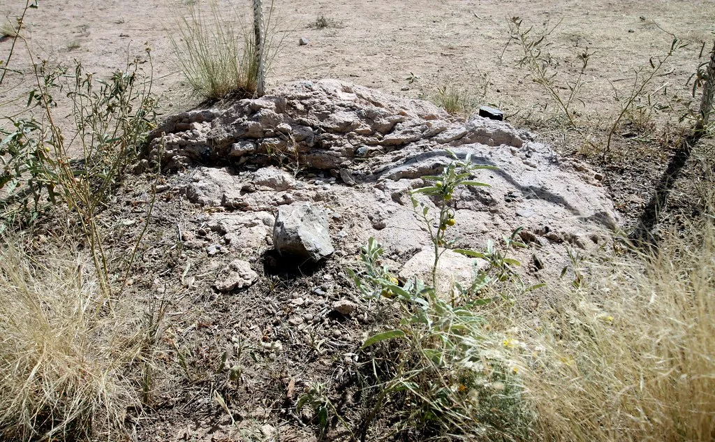 Stone and mortar foundation remains on dry ground.