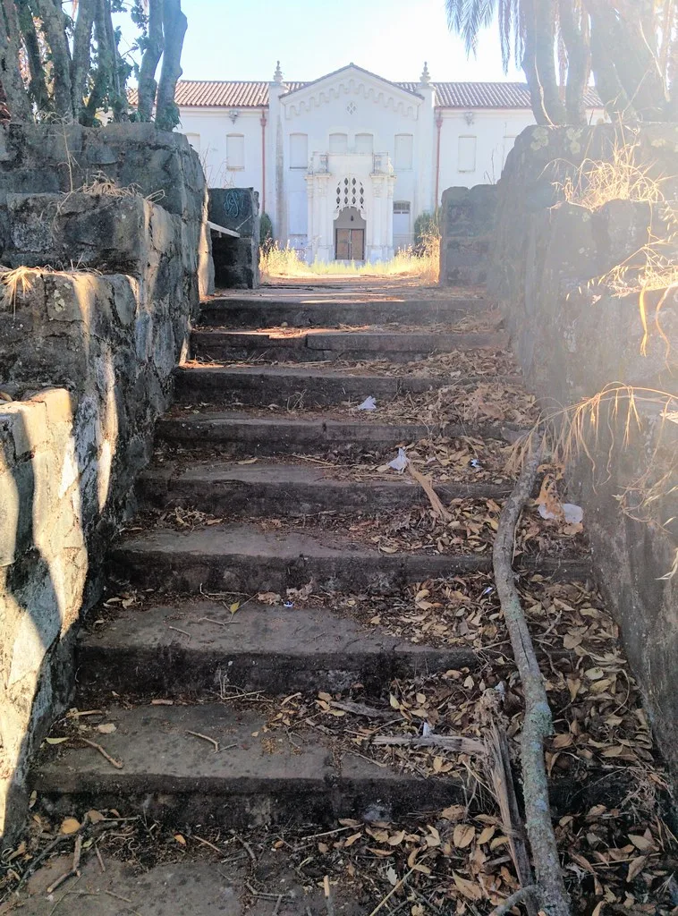 Overgrown stone staircase leading to a closed old building.
