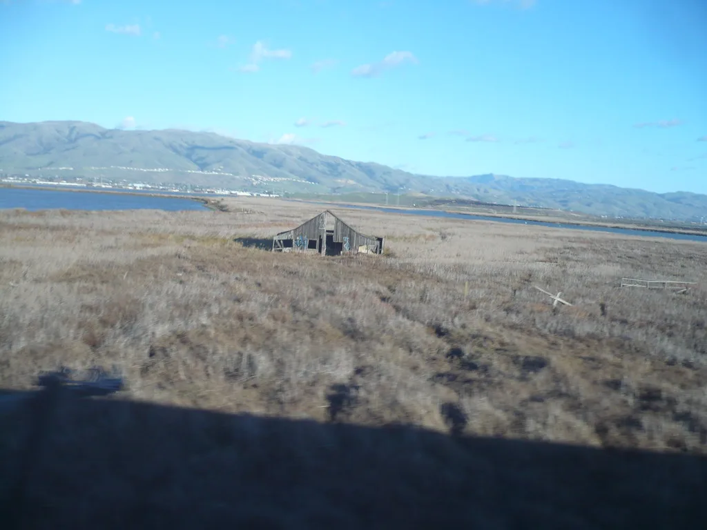 Dilapidated wooden barn amid dry grass near water and mountains.