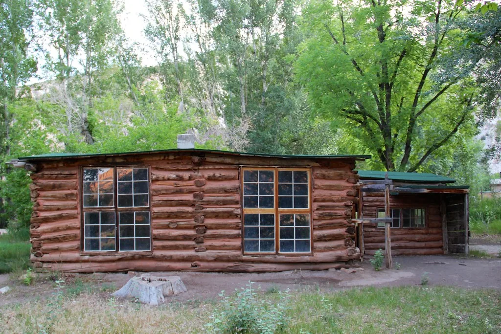 Cabane en rondins de Josie Morris au milieu des arbres.