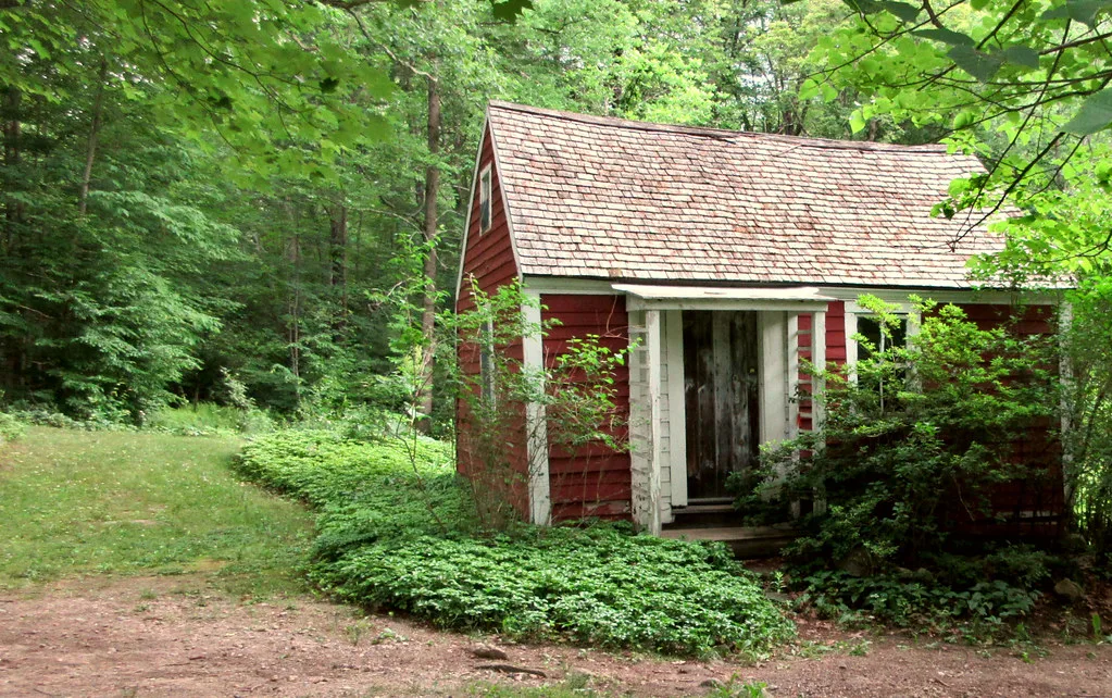 Small abandoned red cabin with white trim and empty windows among woodland shrubs.
