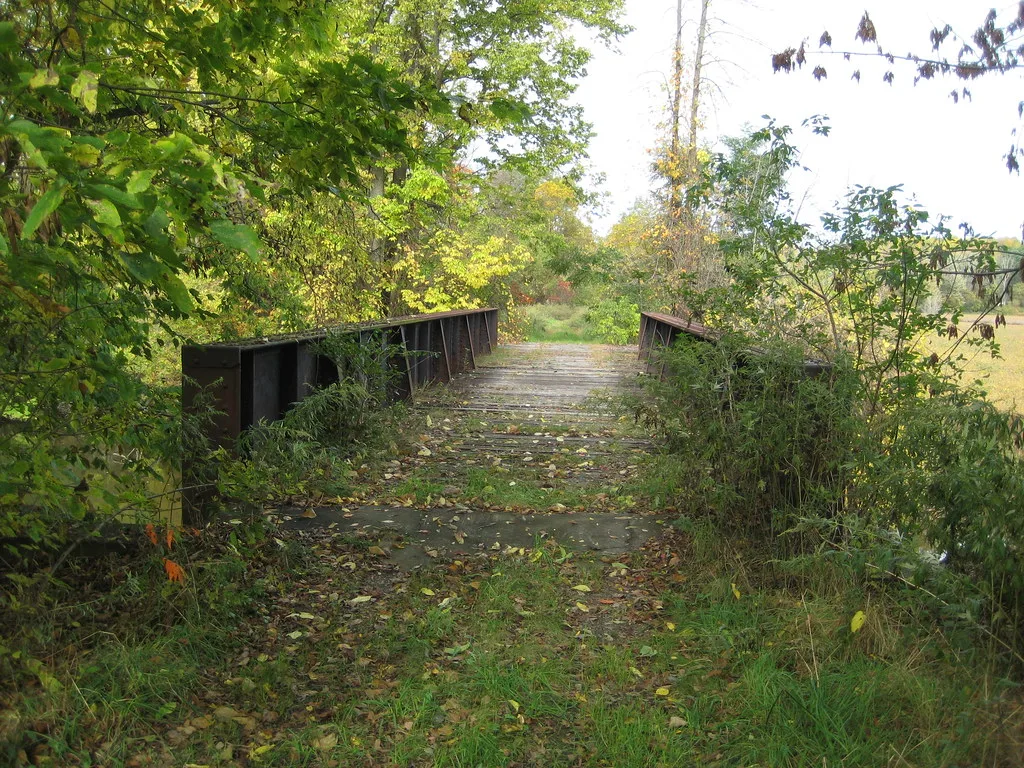 Small abandoned metal bridge with a wooden deck covered in leaves and grass.