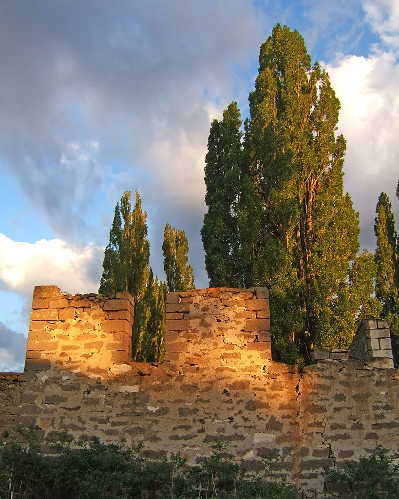 Murs ruinés de pierre dorée éclairés par le soleil devant de grands peupliers.