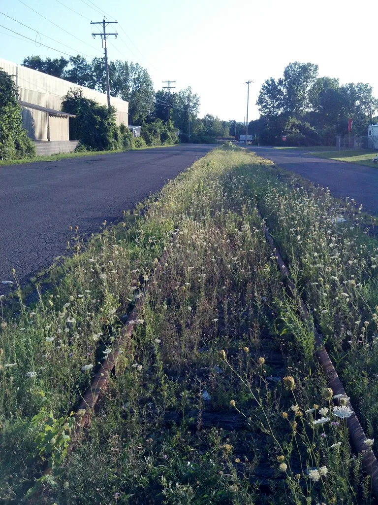 Old railway track overgrown with grass between paved roads.