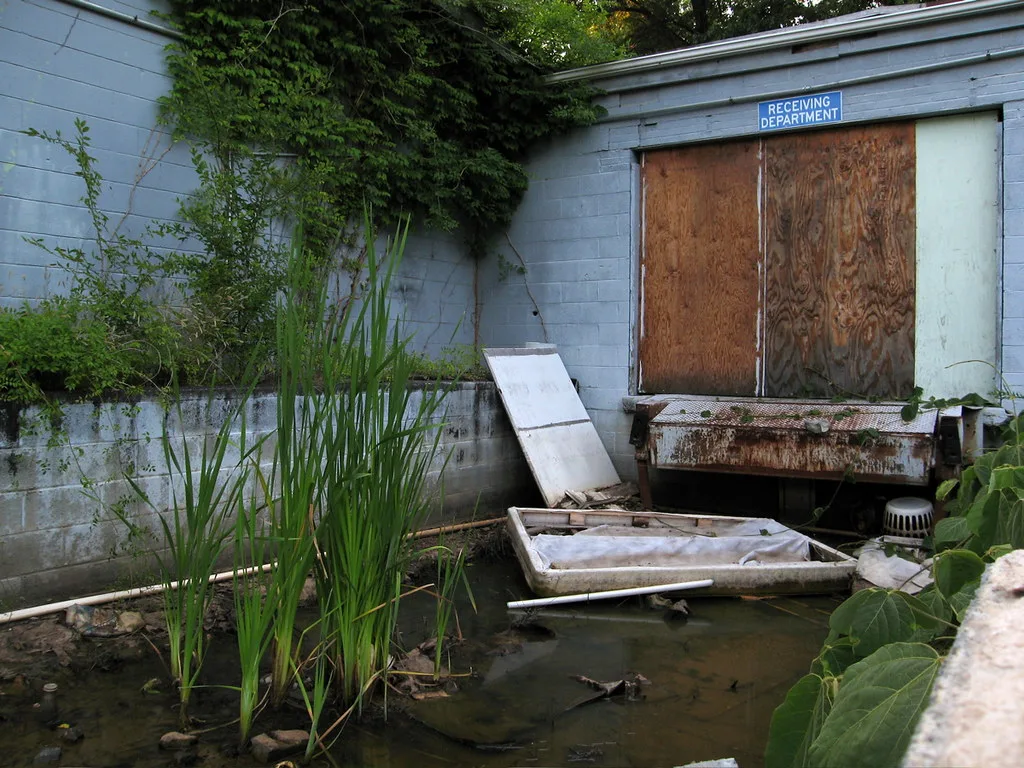 Ancien quai de réception condamné devant une cour inondée envahie de plantes.