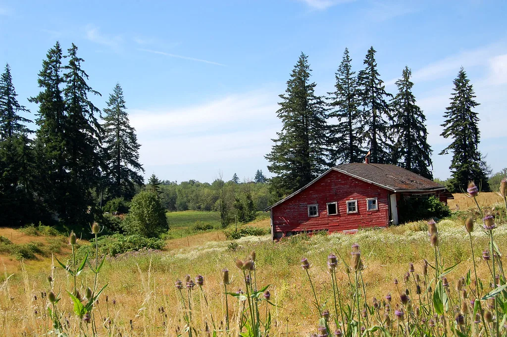 Small red wooden building with damaged windows in a meadow.